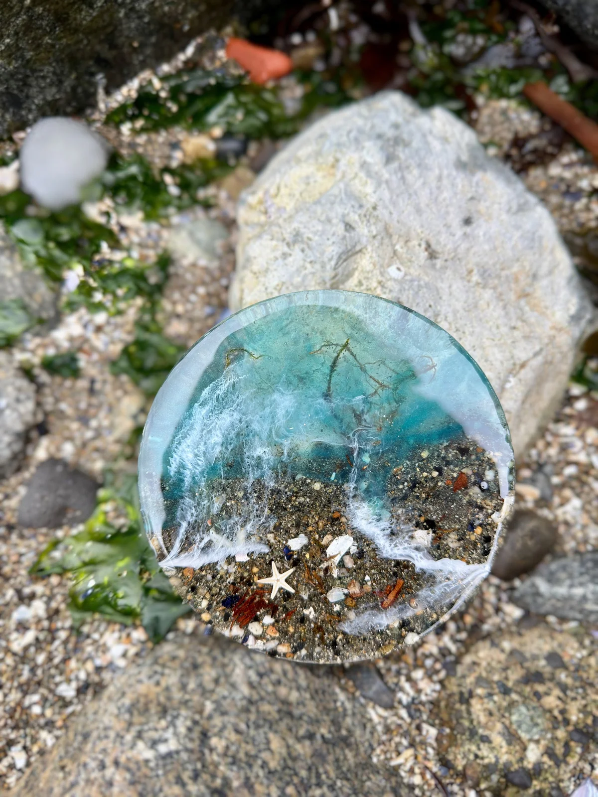 Beach scene captured under a clear glass piece with white ocean waves, sand, small pebbles, shells, a starfish, and seaweed inside the glass, placed on sandy ground with rocks and green plants around.